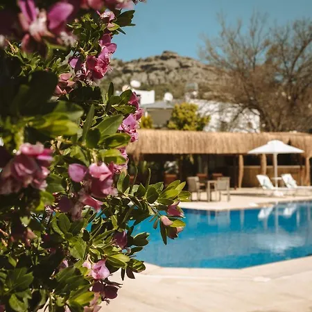 Lemon Garden Tuerkbuekue *