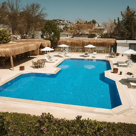 Lemon Garden Tuerkbuekue * ムーラ