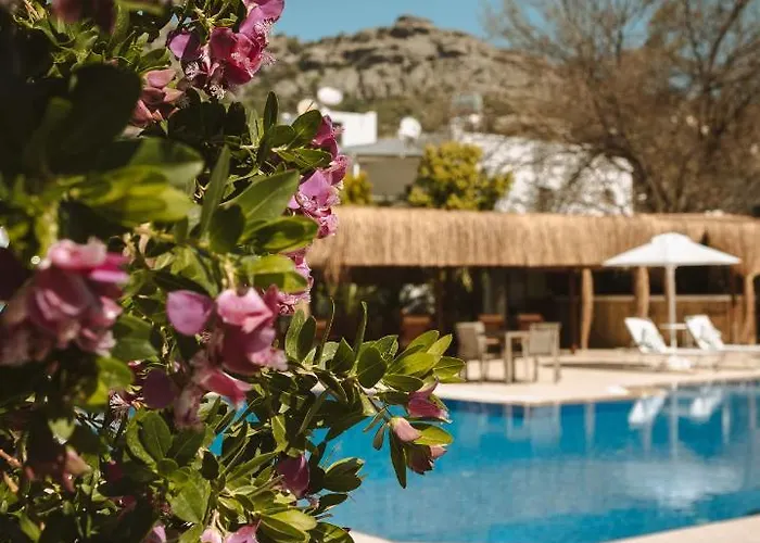 Lemon Garden Tuerkbuekue *