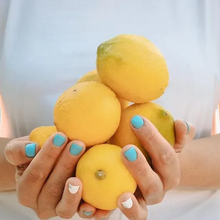 Lemon Garden Tuerkbuekue *